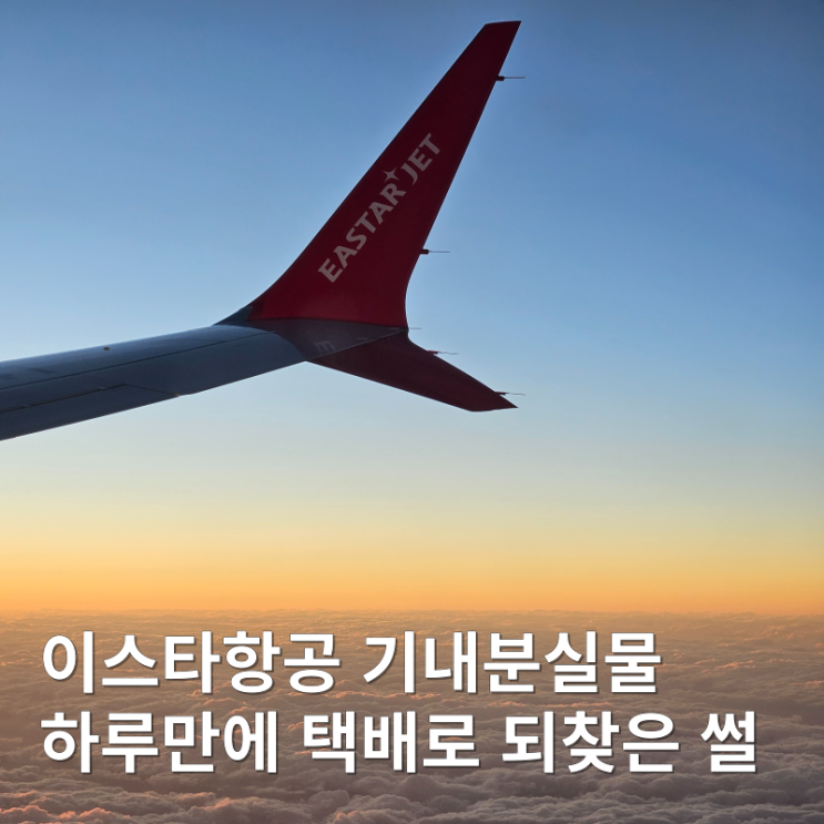  이스타항공 비행기 기내 분실물 하루만에 되찾은 후기