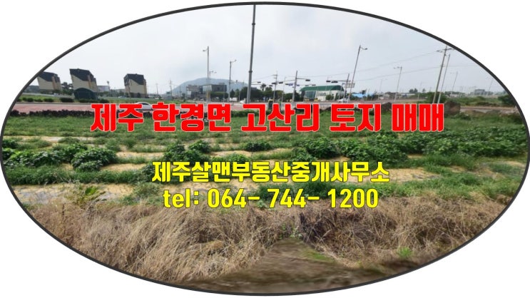  제주 한경면 고산리 토지 매매