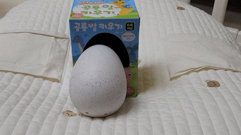 공룡장난감 공룡알 키우기 공룡 부화 실험세트 / 사용방법, 후기, 리뷰