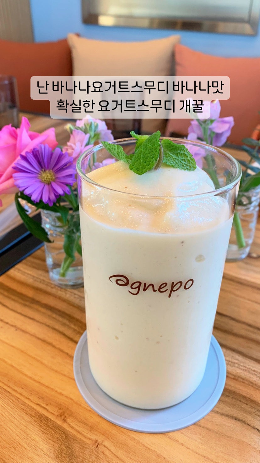 아그네포 사진 6