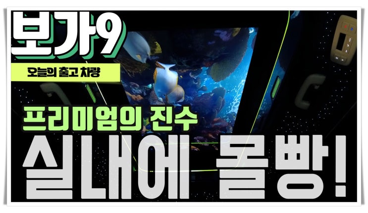  실내 옵션에 집중해서 보가9프리미엄을 제작 하셨네요