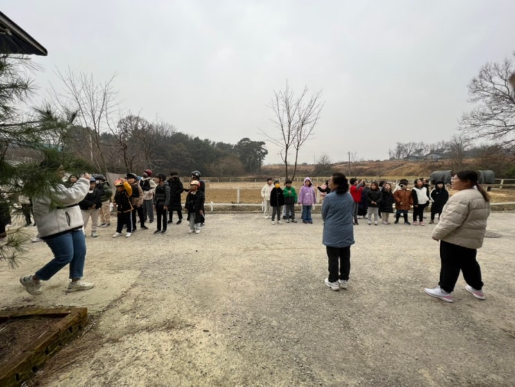  일죽초등학교 승마체험 교육 진행