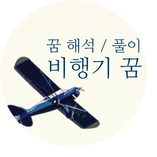 [꿈 해몽] 비행기 꿈 / 비행기 놓치는 꿈 / 비행기 추락하는 꿈 / 비행기 사고 목격하는 꿈 풀....