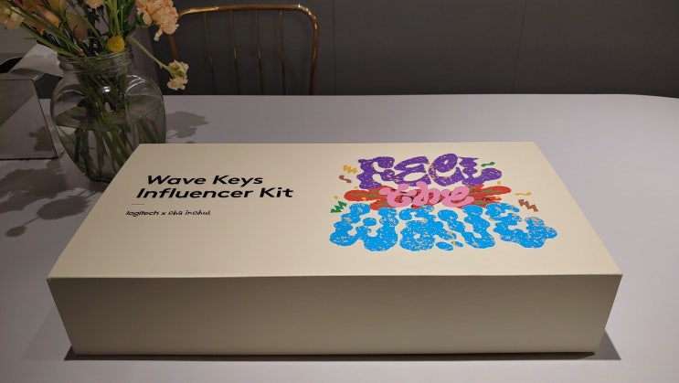 로지텍 차인철 콜라보 인체공학 Wave Keys Influencer Kit 사용후기 로지텍 차인철 콜라보 인체공학 Wave Keys Influencer Kit 사용후기