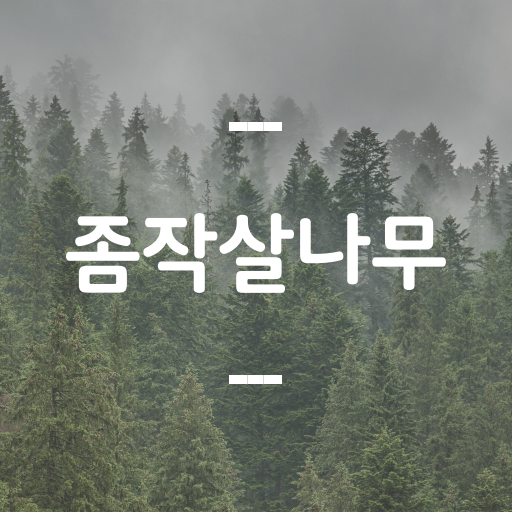  좀작살나무 효능, 꽃말, 작살나무와의 차이