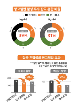 항고혈압 활성 높은 최적 잡곡 혼합 비율 찾아