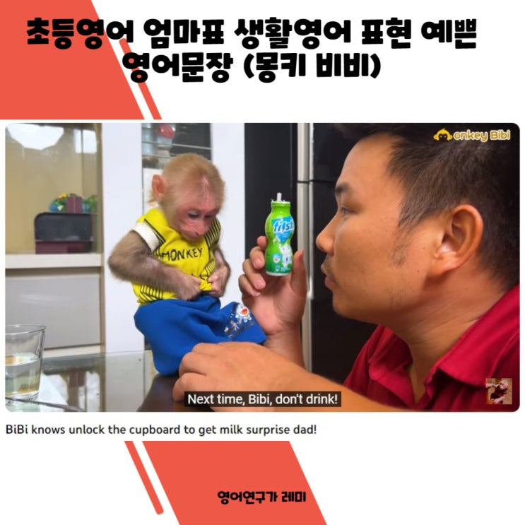 초등영어 엄마표 생활영어 표현 예쁜 영어문장 (몽키 비비) 초등영어 엄마표 생활영어 표현 예쁜 영어문장 (몽키 비비)