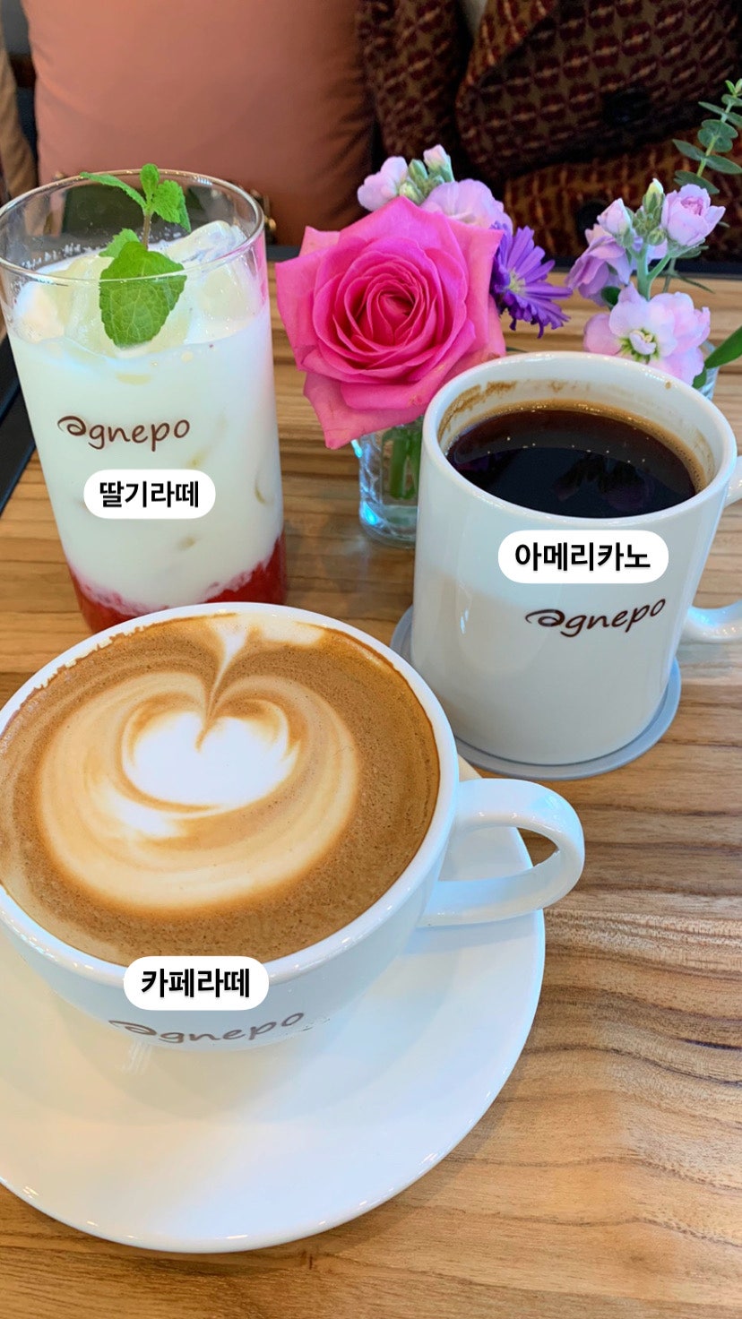 아그네포 사진 4