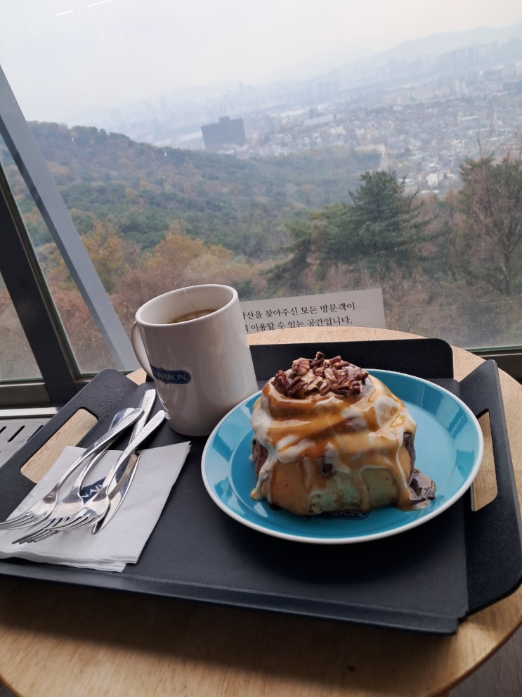 서울 도심 관광지: 남산 N서울타워 남산 데이트 서울 도심 관광지: 남산 N서울타워 남산 데이트