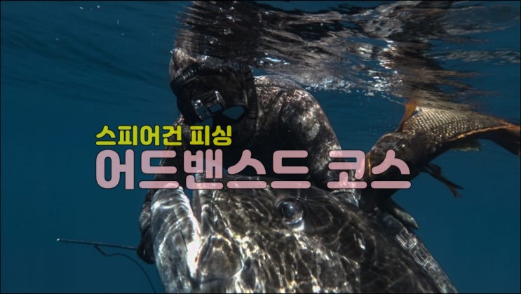  발리 작살낚시 어드밴스드 코스