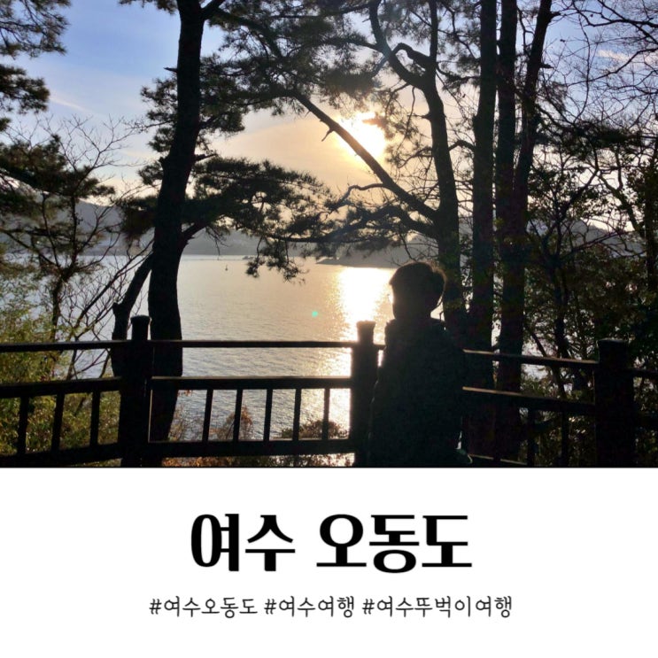  겨울 여수 오동도 아이와 뚜벅이 여행