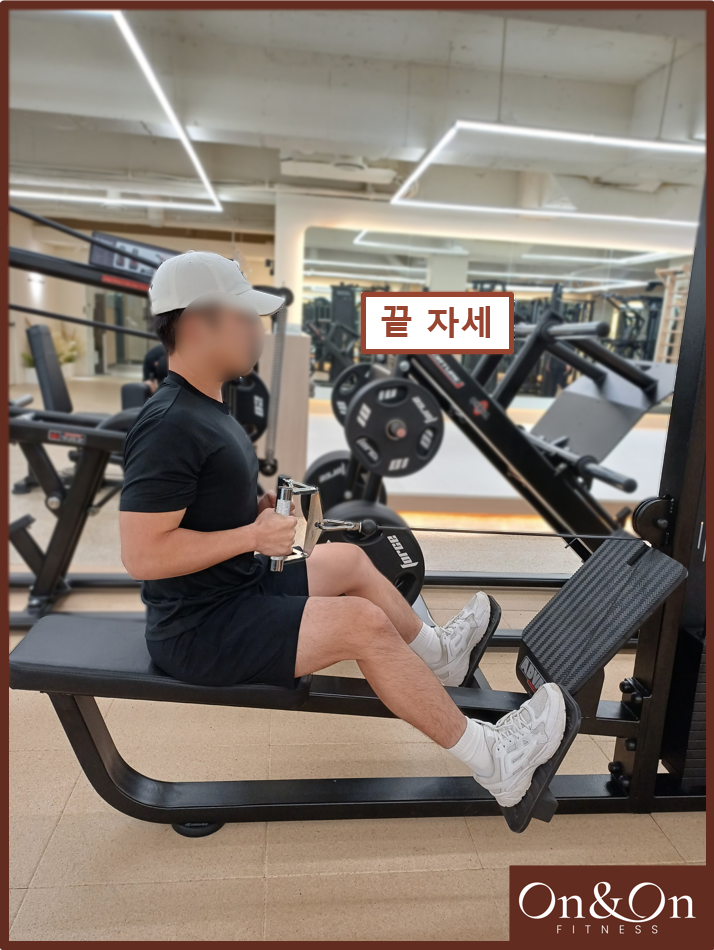  시티드 로우 풀리(롱풀)머신 자세, 사용법과 효과
