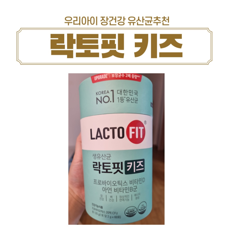  <내돈내산>직접 먹여보고 추천하는 우리아이 장건강 유산균 락토핏키즈 유산균