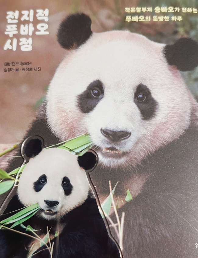  작은할부지 송바오가 전하는 푸바오의 뚠빵한 하루 <전지적 푸바오 시점>