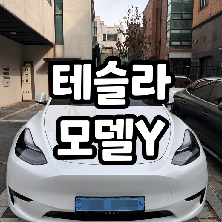  마칸, E클래스 오너의 5699 테슬라 모델Y RWD실수령후기