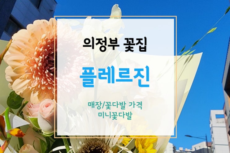 [의정부 꽃집] 예쁜데 싱싱함도 오래가는 민락동 꽃집 플레르진 꽃다발