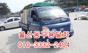  울산동구용달 울릉도 정자 제주도 양남 양북 감포,