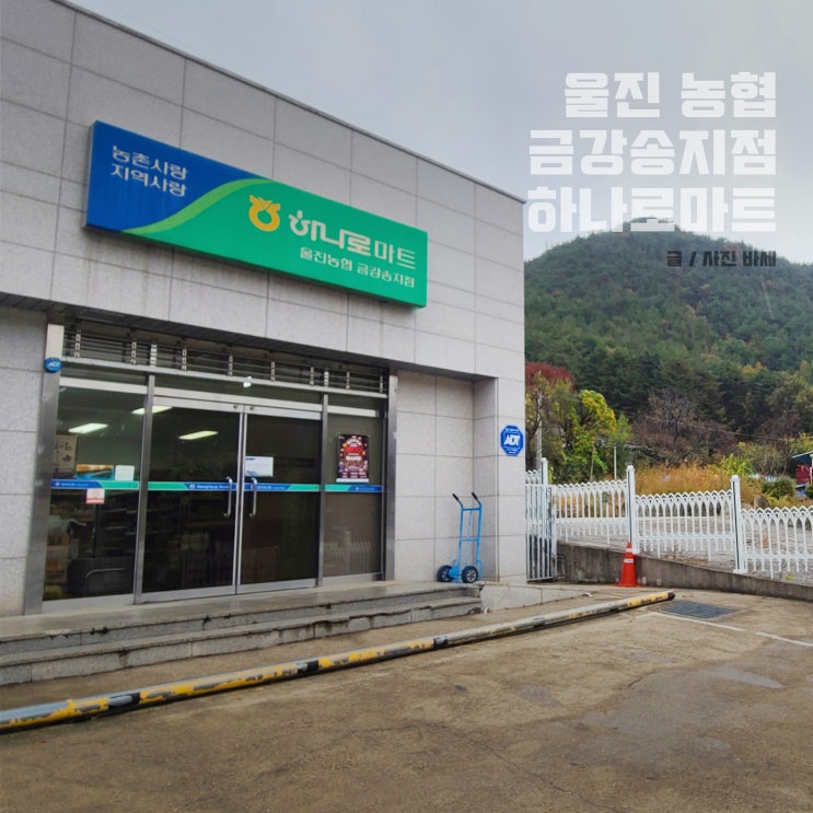  울진 하나로마트 금강송지점 여행 장 후기