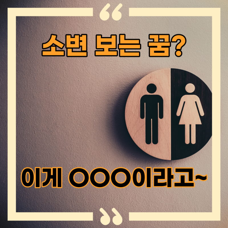 소변싸는꿈 소변보는꿈 소변꿈 재래식화장실꿈 공중화장실꿈 깨끗한 화장실 꿈해몽 꿈풀이 ....