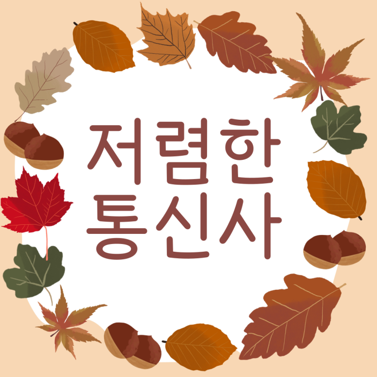  저렴한 통신사를 원하신다면 스카이라이프 인터넷TV를 추천합니다.
