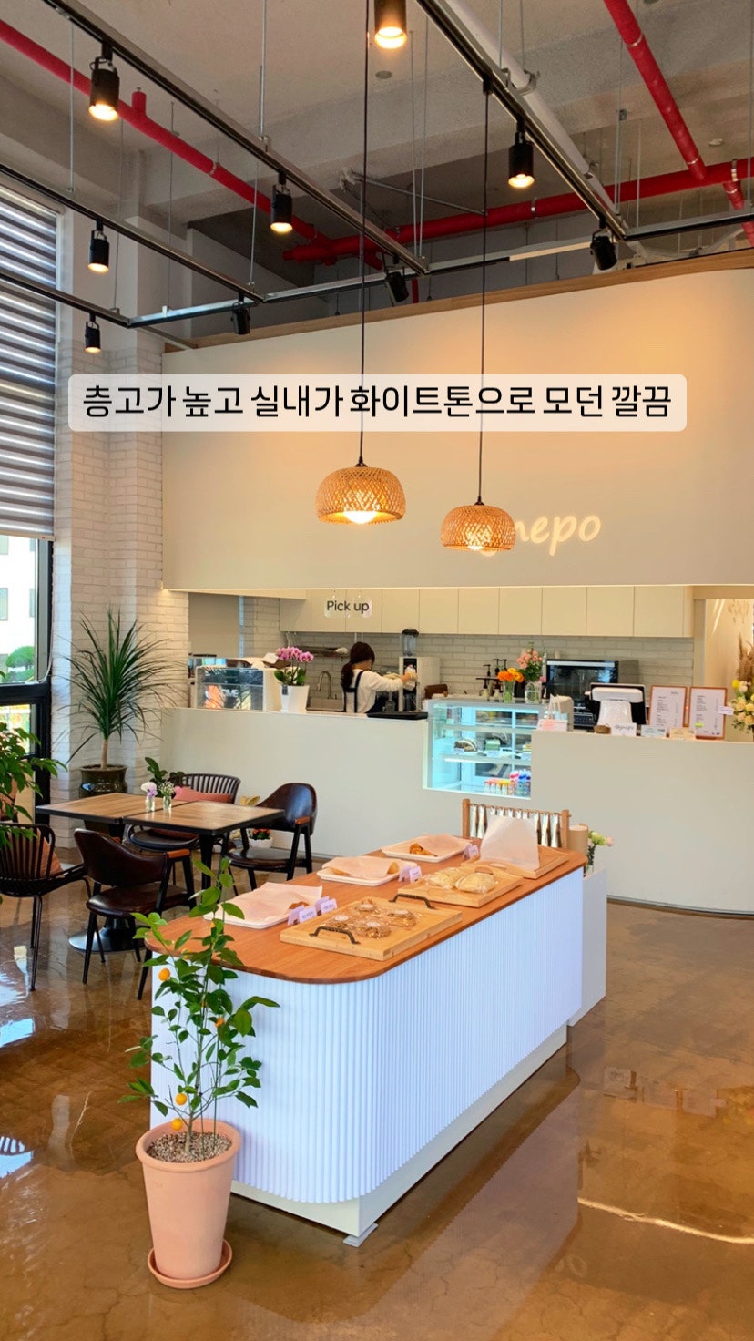 아그네포 사진 2