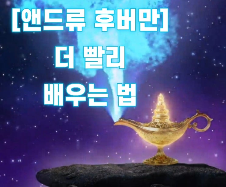  [Andrew huberman] 앤드류 후버만 - 더 빨리 배우는 법