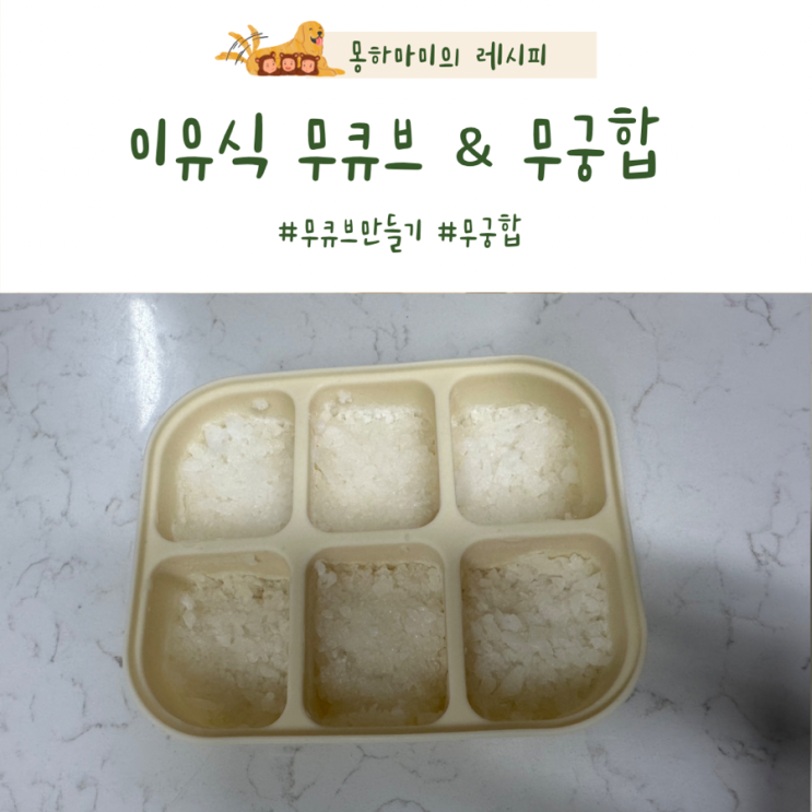  이유식 무큐브 무궁합 보관법 영양정보