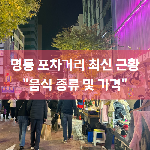  명동 최근 근황 업데이트 "먹거리 포차 종류 및 가격"
