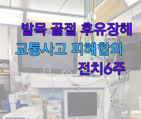  [교통사고전문변호사 스카이] 발목 골절상과 후유장해_교통사고 피해 합의 전문 변호사