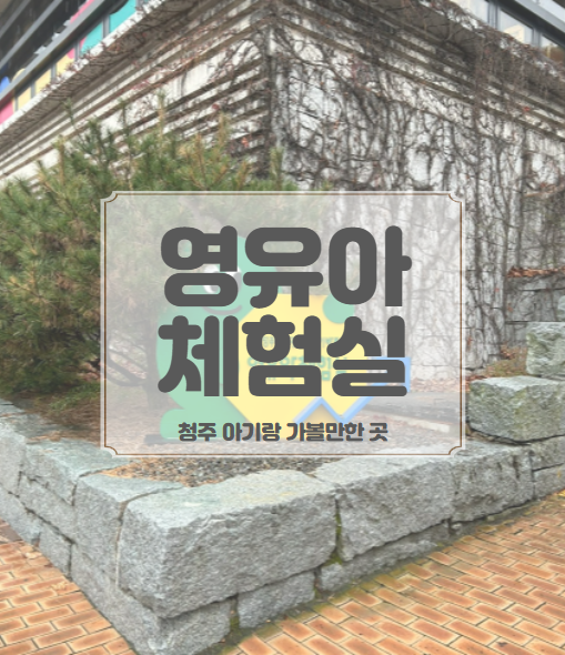  국립청주박물관 영유아체험실 (14개월 아기랑, 실내 가볼 만한 곳)