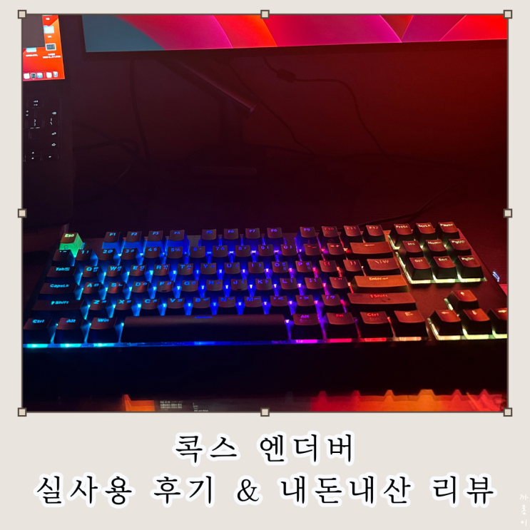  콕스 엔데버 무접점 35g 네이비 실사용 후기 내돈내산 리뷰