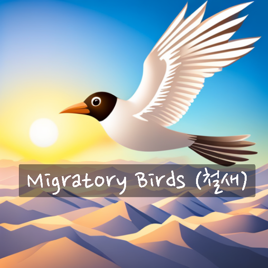 11.17. 금. Migratory Birds (철새)