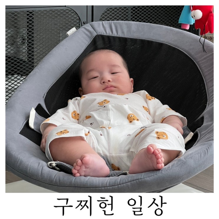  [은느님 일상]이젠 나님 일상이 아니라 구찌헌 일상이라 해야 할 폿팅 : )