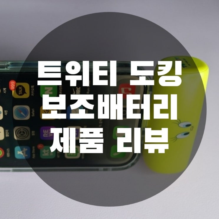  아이폰 데이니즈 트위티 미니 일체형 도킹형 보조배터리 리뷰
