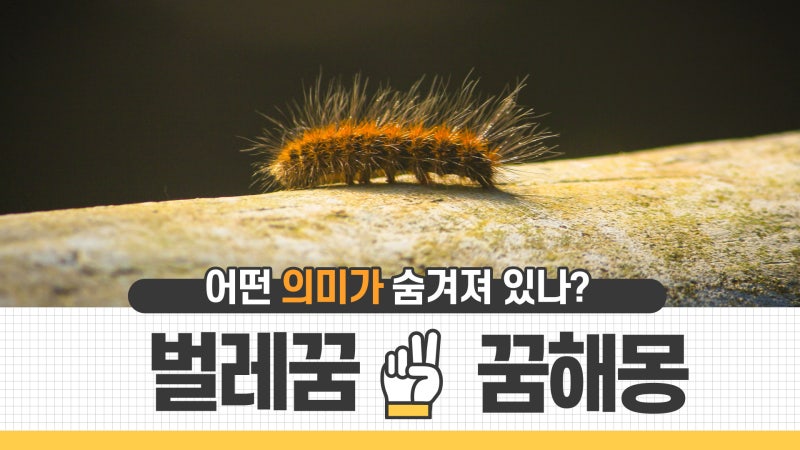 온몸에 벌레가 붙어있는꿈 벌레를 떼어내는 꿈