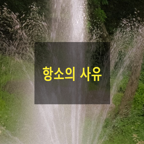  형사 재판에서 양형이 너무 과한 경우 항소할 수 있는지(항소의 사유)