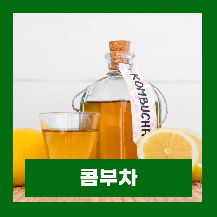  콤부차 효능 부작용 및 하루 섭취량