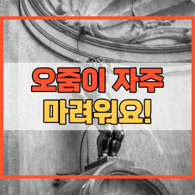  오줌이 자주 마려워요 소변이 자꾸 마려운 이유 뭘까요?