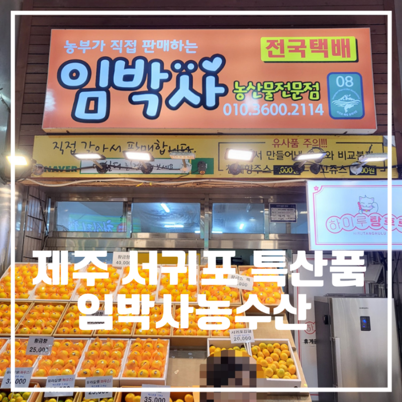 제주 서귀포 올레시장 선물추천 맛집-[임박사농수산]