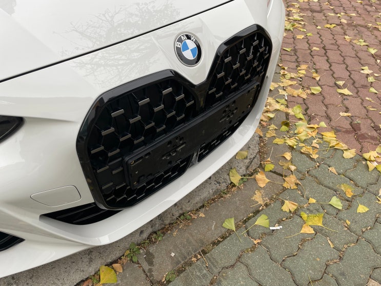 BMW 자동차 번호판 가드 교체, 방법 및 비용