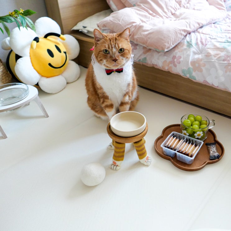  고양이 매트 추천 관절 보호 하기 좋은 디팡 이지 논슬립매트