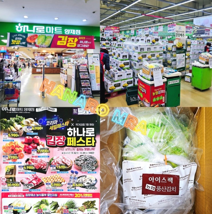하나로마트 절임배추 가격 김장페스타 할인 하나로마트 절임배추 가격 김장페스타 할인