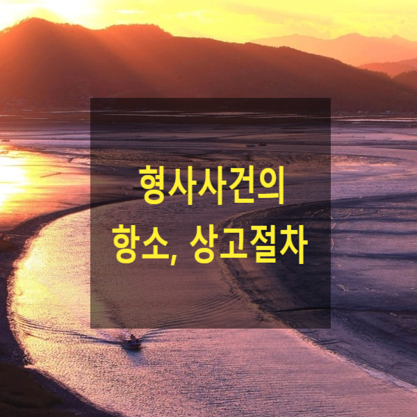  형사사건의 항소, 상고절차의 내용