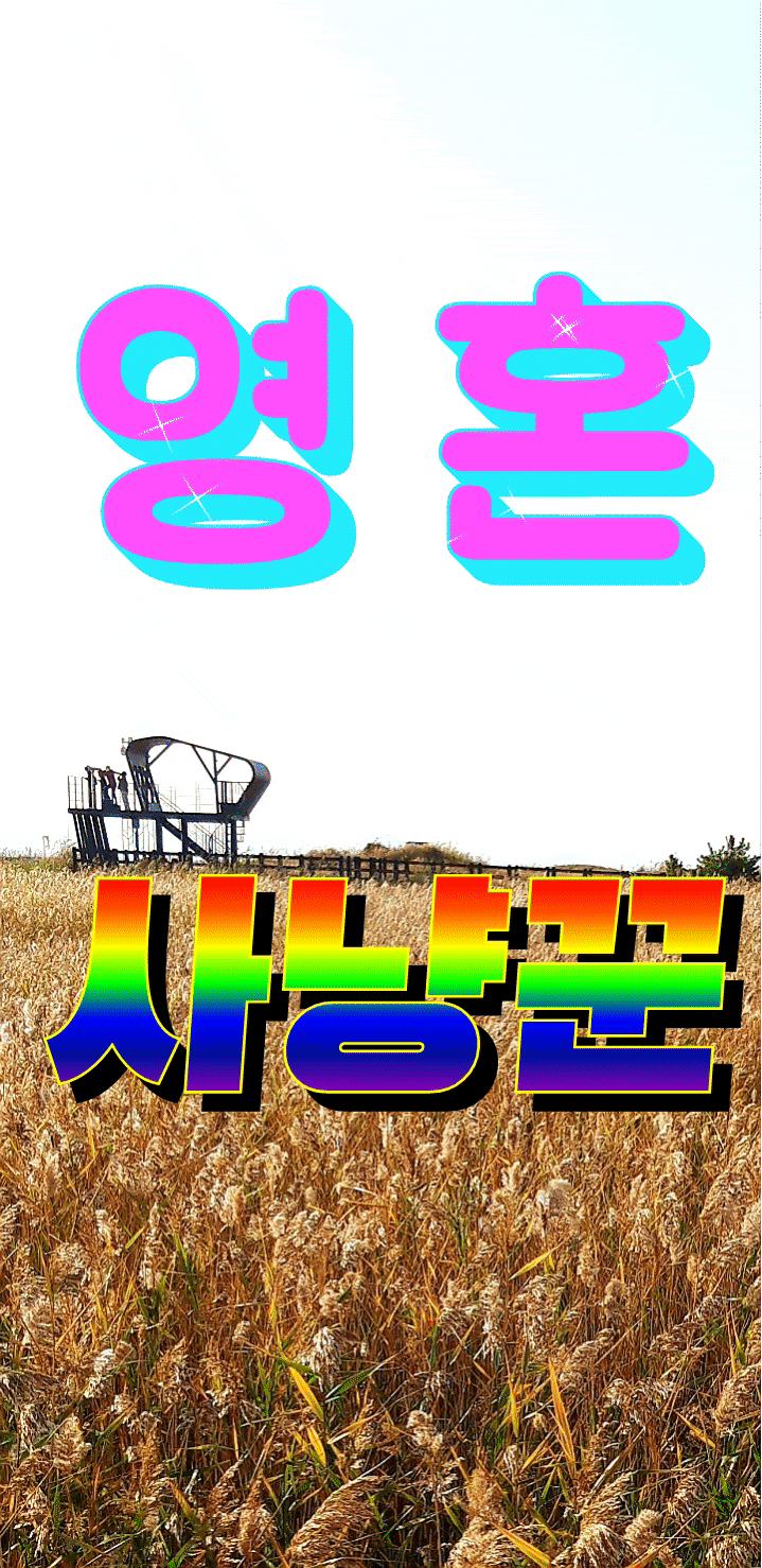  영 혼 사냥꾼