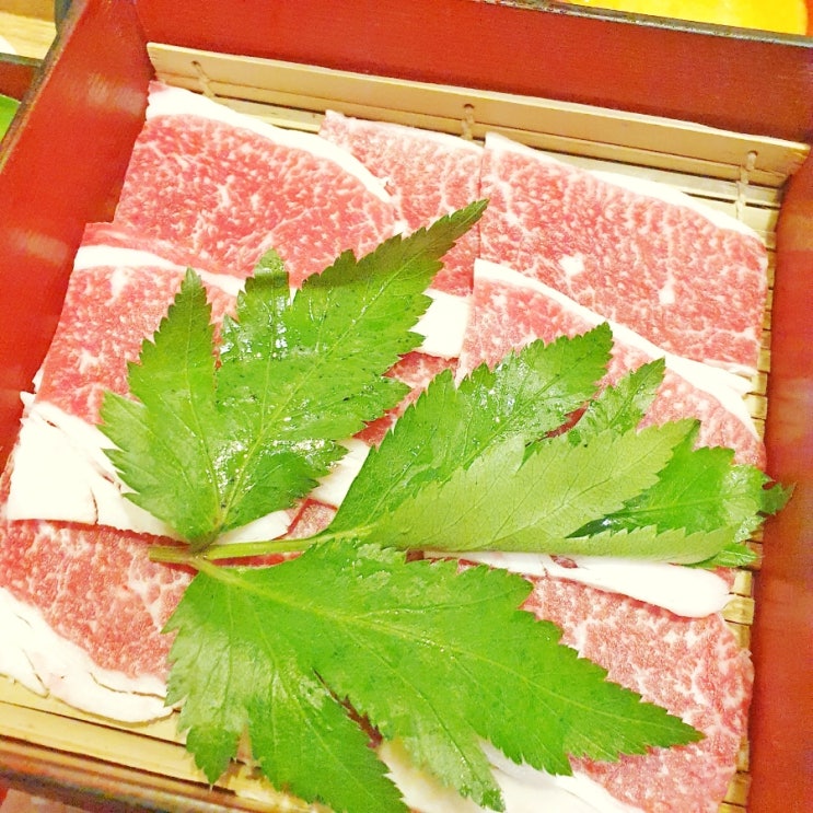 대전핫플의 새로운 맛, 소제동 샤브샤브의 진수를 맛보다- 온천집 소제 방문기 대전핫플의 새로운 맛, 소제동 샤브샤브의 진수를 맛보다- 온천집 소제 방문기
