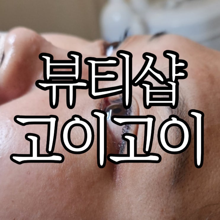 창원속눈썹펌 짧은 속눈썹도 잘 올려주던 뷰티샵 고이고이