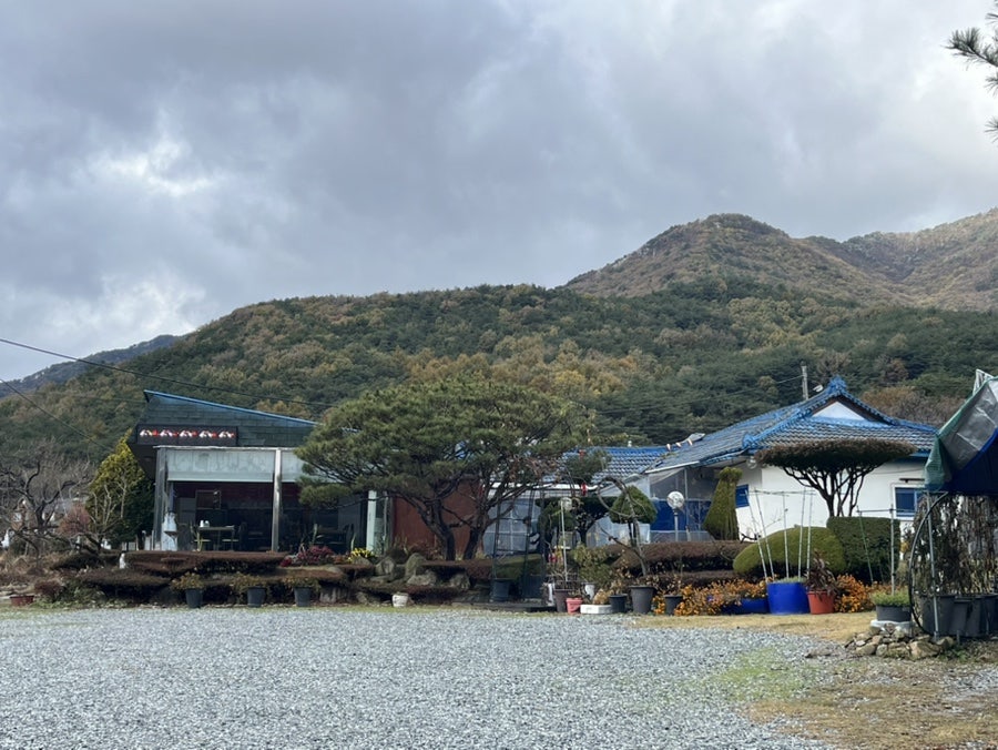송골 사진 1