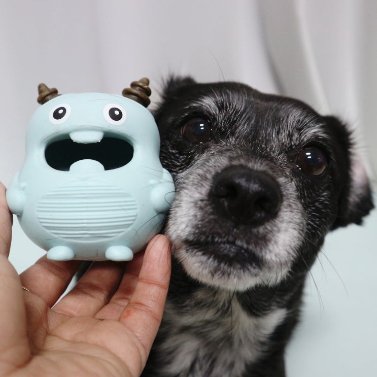 강아지 덴탈껌 노즈워크 장난감 치카푸카 덴탈몬스터