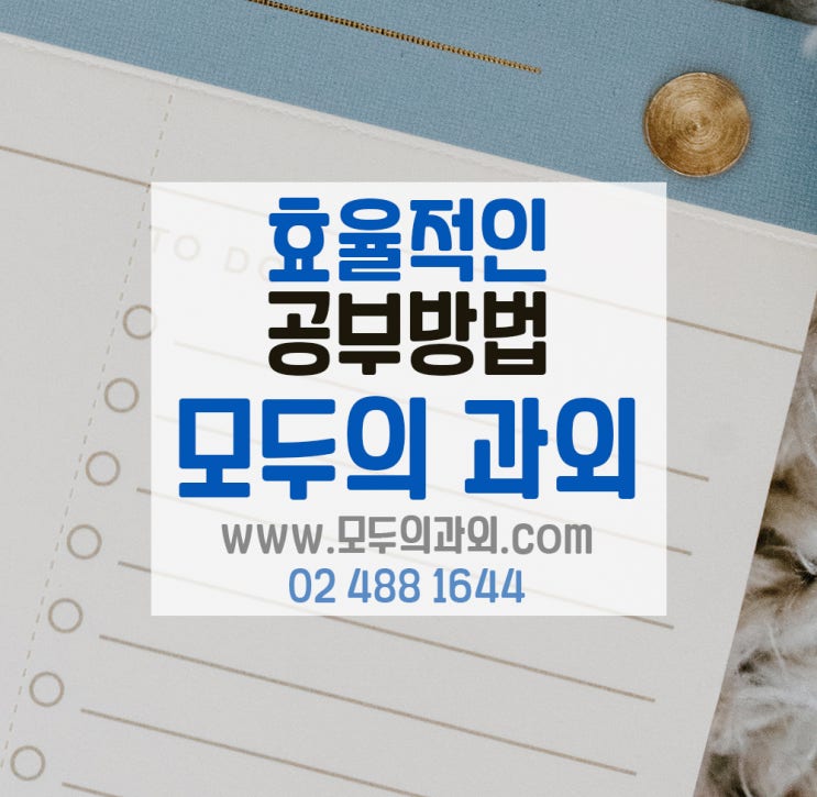  1:1 티칭 화상으로 모든 과목 완벽 대비 모두의 과외