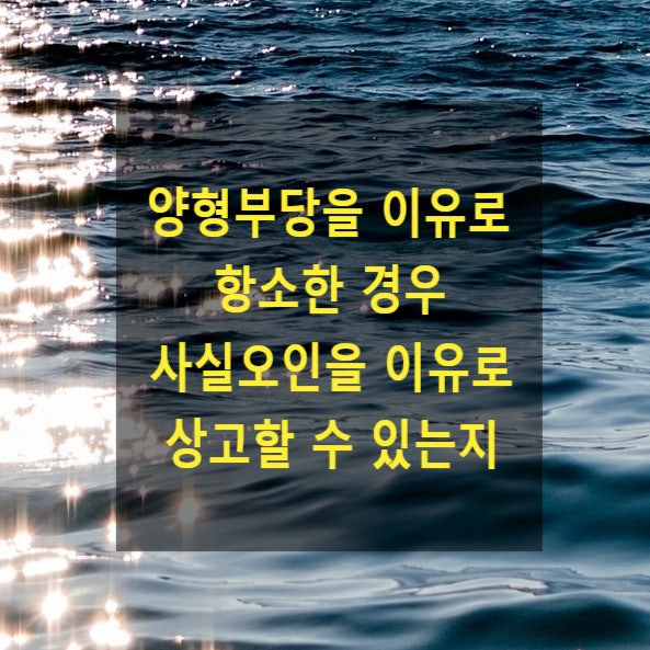  형사재판에서 양형부당을 이유로 항소한 경우 사실오인을 이유로 상고할 수 있는지
